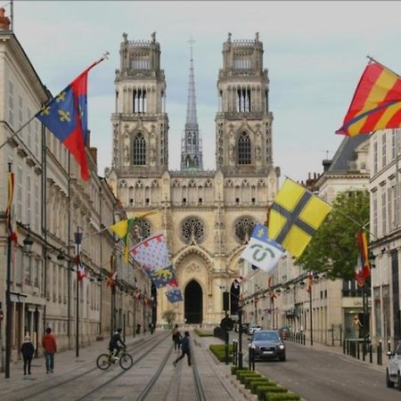 Studio Rue Pietonne Orlean Zewnętrze zdjęcie